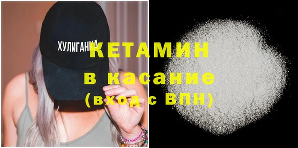 шишки Абаза