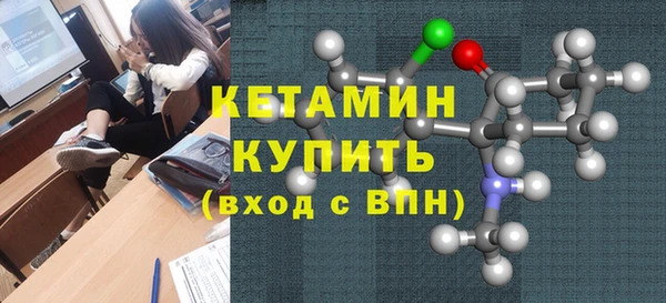 шишки Абаза