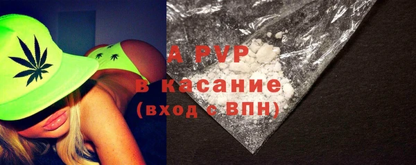 шишки Абаза