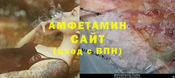 шишки Абаза
