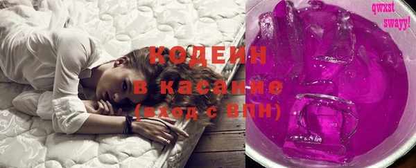 шишки Абаза