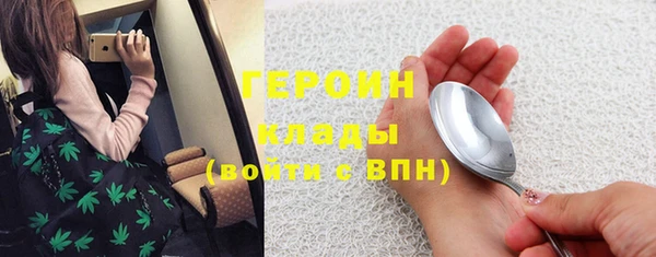 шишки Абаза