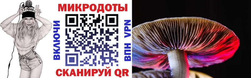 мориарти какой сайт  Аксай  Псилоцибиновые грибы мухоморы 